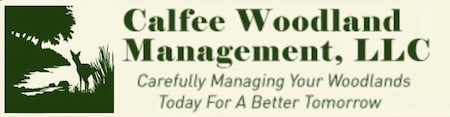 Calfee Woodland Management