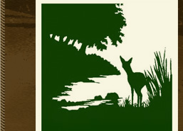 Calfee Woodland Management LLC � Forestry and Land Management Services